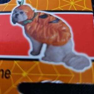 Pumpkin Dog Costume - Orange